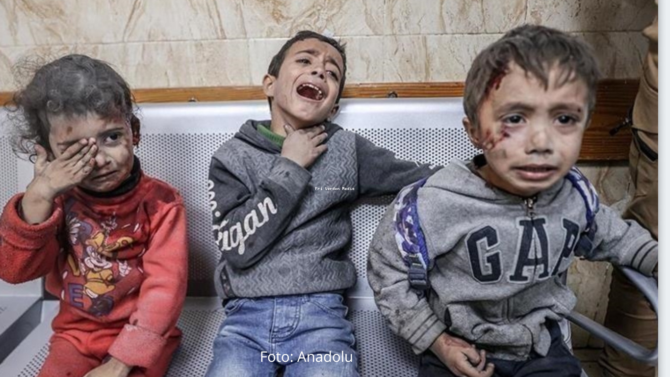 Palestina: Israelske NGO-er kaller Gaza-angrep for folkemord